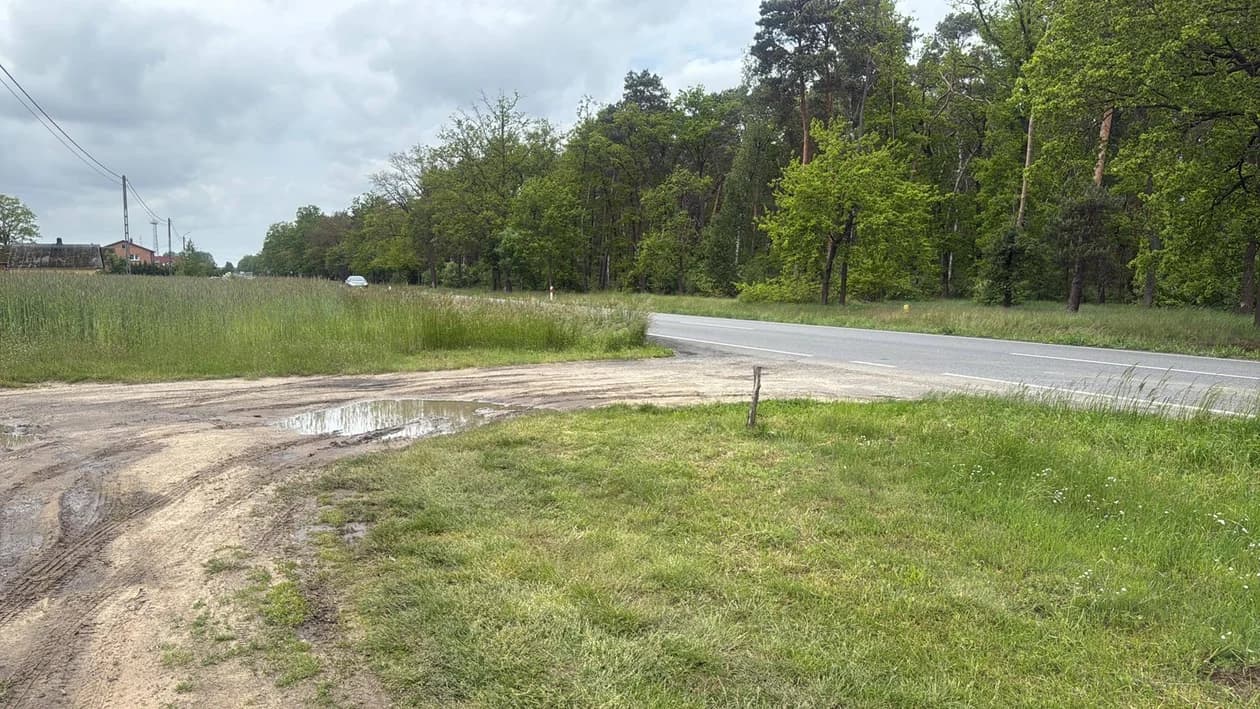 Zarośnięte pobocza przy drodze krajowej nr 12 w gminie Jaraczewo. Kiedy zostaną wykoszone?