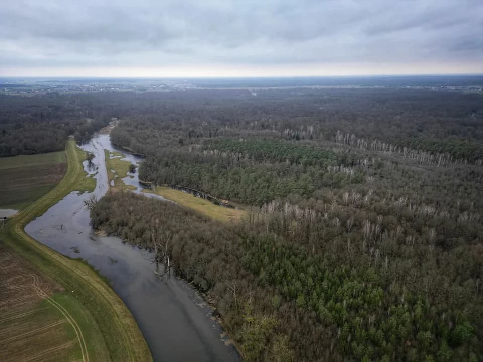 Leśników z Nadleśnictwa Jarocin cieszy to, że Lutynia się rozlewa — zdjęcie 4 z 6