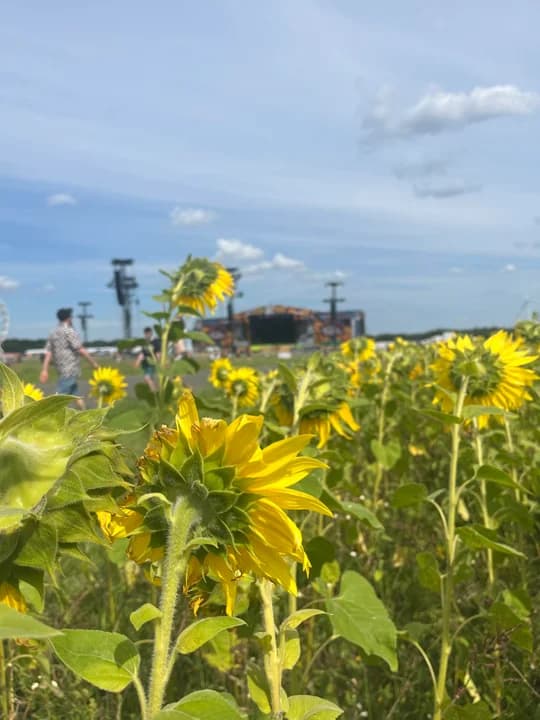 Jarocin na Pol`and`Rock Festiwal. Czyli szukamy jarocińskich akcentów na Woodstocku — zdjęcie 2 z 37