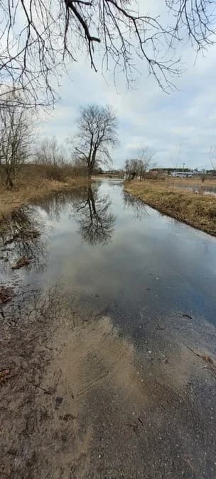 Okolice przeprawy promowej na Warcie w Pogorzelicy (gm. Żerków) — zdjęcie 3 z 18