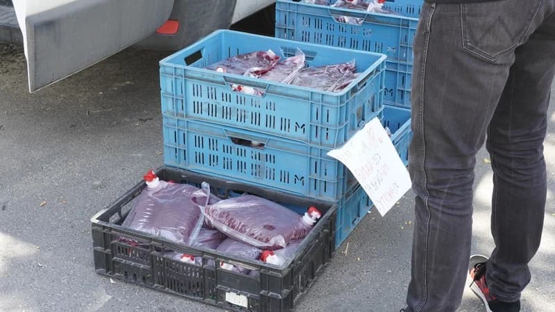 Dziękujemy za wsparcie dla sadownika Tomasza Wojtczaka. Przekazaliśmy zebrane pieniądze — zdjęcie 4 z 6