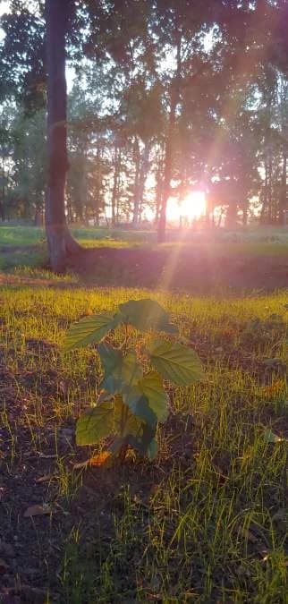 Park w Jaraczewie wygrał konkurs za rewitalizację. Nagrodę przyznało Towarzystwo Urbanistów Polskich