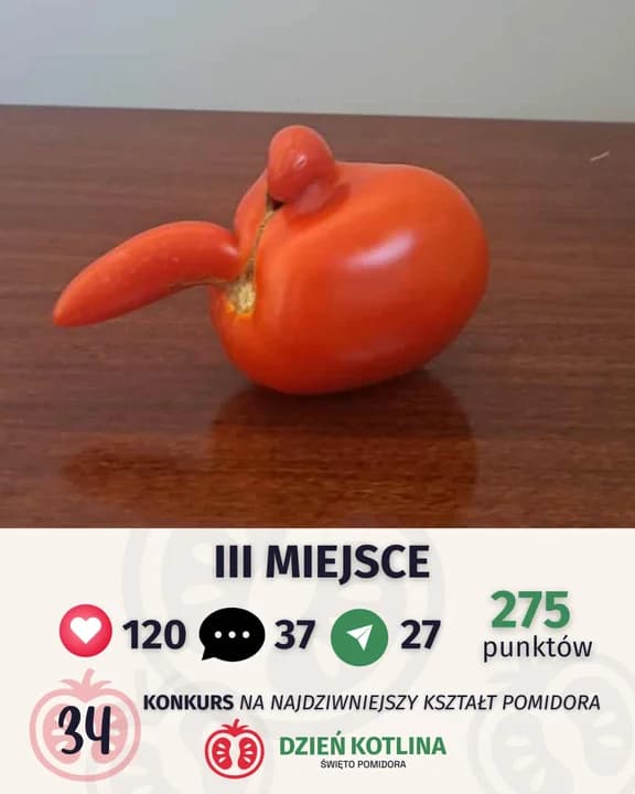 Ten konkurs to hit. Poszukują największego i najdziwniejszego pomidora — zdjęcie 4 z 7
