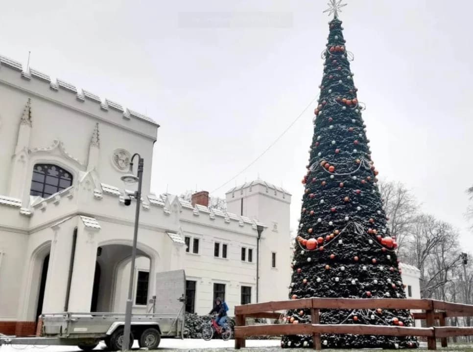 Wiemy gdzie w tym roku stanie choinka miejska
