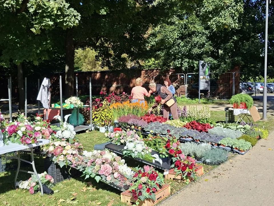 Festiwal Roślin Ogrodowych w Jarocinie — zdjęcie 1 z 63