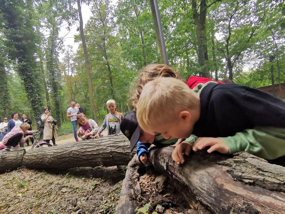 Zobacz, jak było na spacerze ornitologicznym i wybierz się na kolejny — zdjęcie 5 z 9