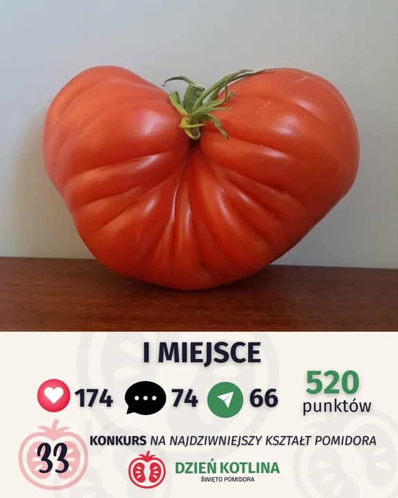 Ten konkurs to hit. Poszukują największego i najdziwniejszego pomidora — zdjęcie 2 z 7