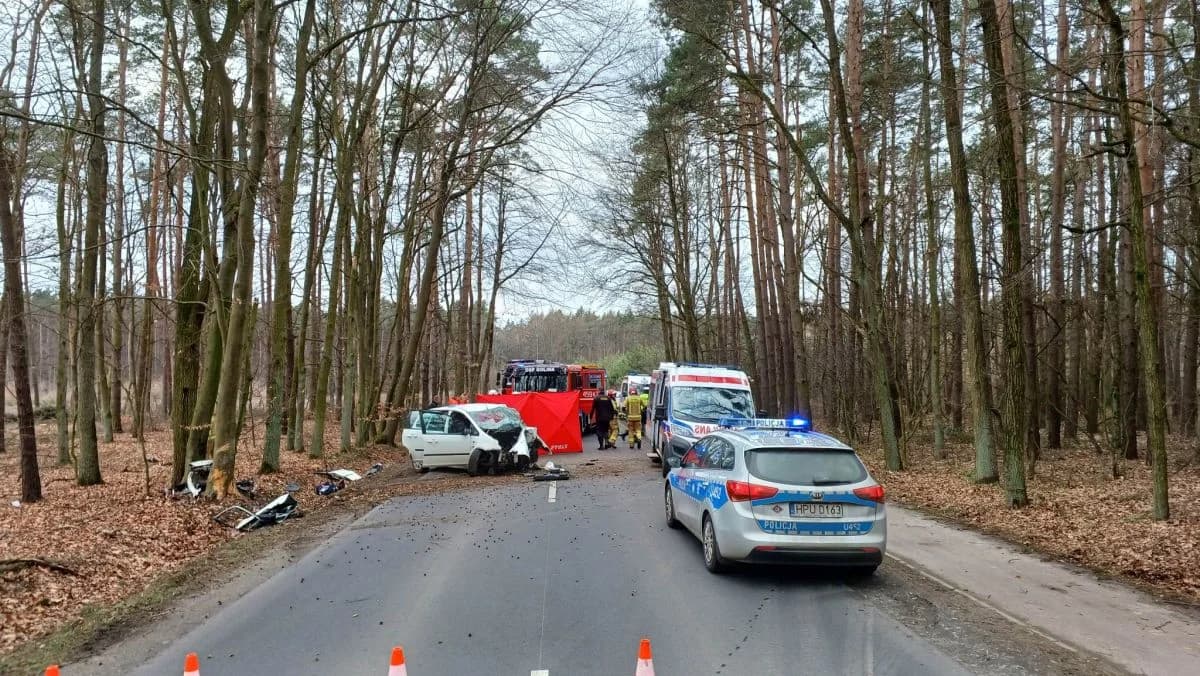 Auto uderzyło w drzewo na drodze Golina - Zakrzew. Trwa reanimacja osoby poszkodowanej