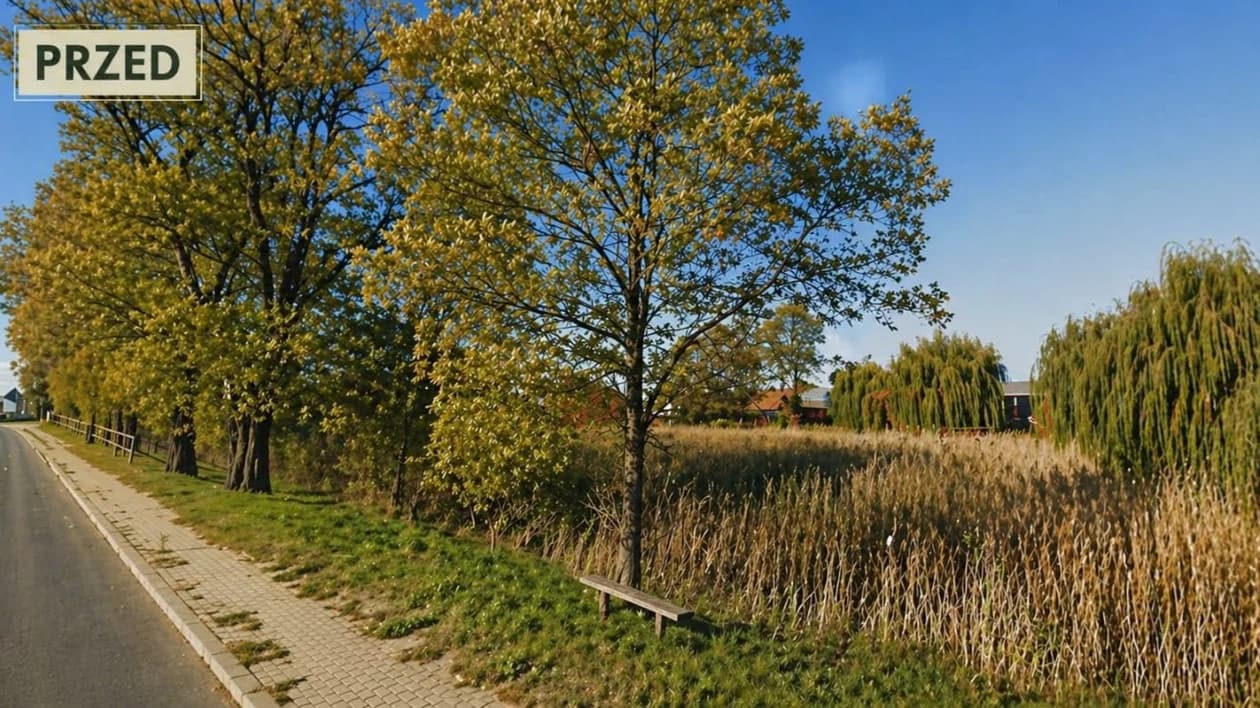 Staw przy sali wiejskiej w Sławoszewie przez długie lata odpychał. Obszar wokół niego był zarośnięty, a sam zbiornik wymagał odbudowy.