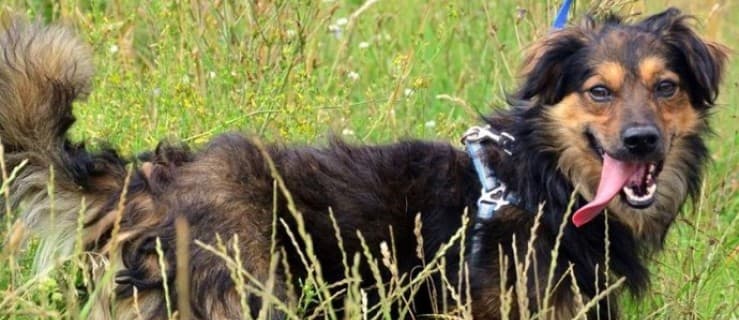 Cecyl łaknie kontaktu z człowiekiem