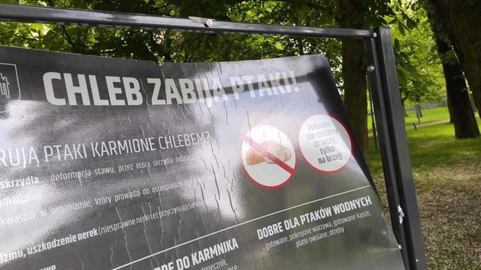 Jarocin. Wandale nie próżnują. Zniszczono tablicę w parku Radolińskich