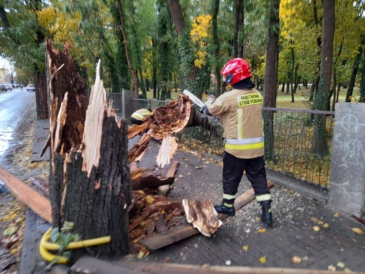 Burza z silnym wiatrem na terenie Jarocina i okolicy [ZDJĘCIA]