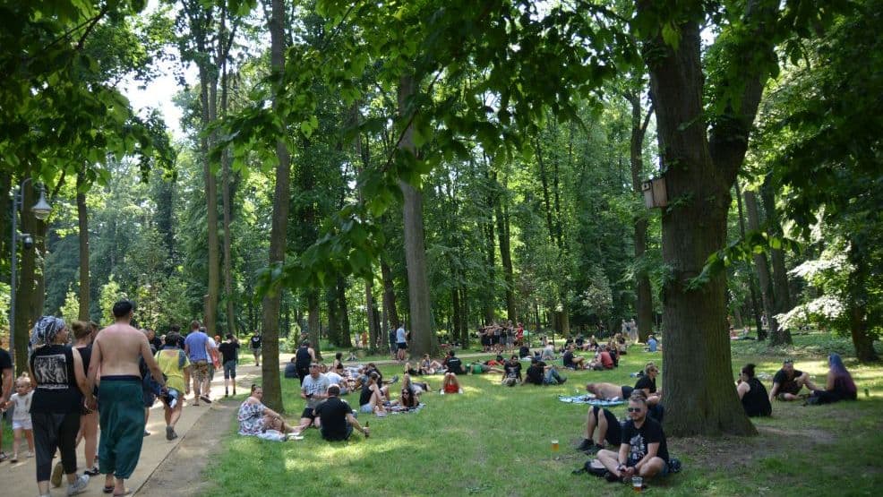 Jarocin Festiwal 2021. Dzień drugi. Relacja na żywo [AKTUALIZACJE, FOTO, WIDEO]