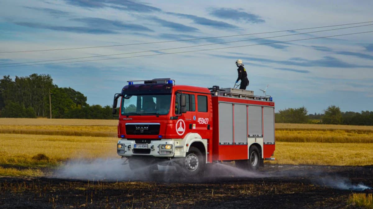 W Parzęczewie zapaliło się zboże na pniu. Straż pożarna w akcji [AKTUALIZACJA]