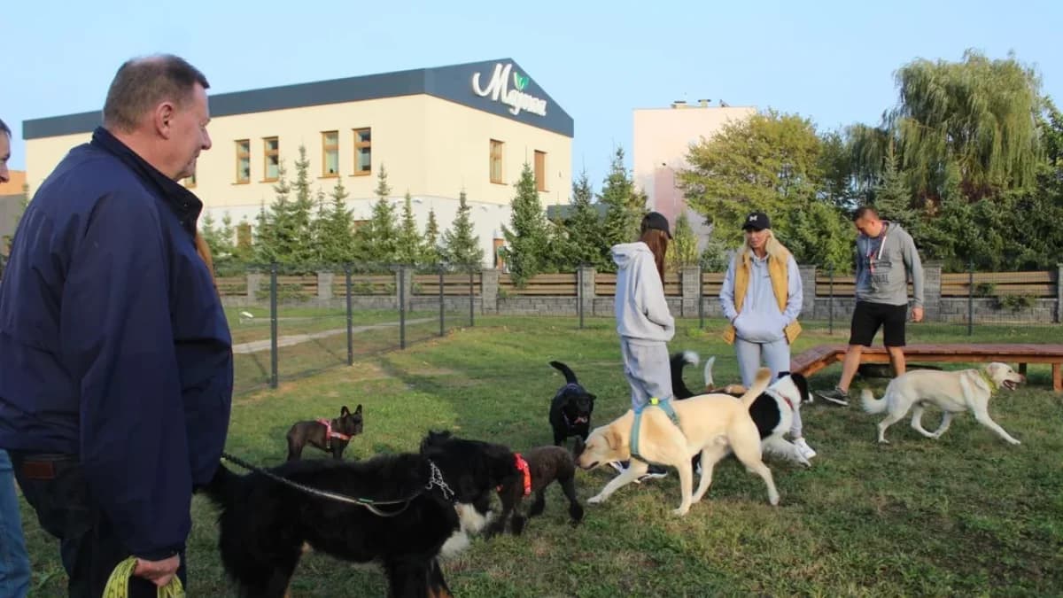 Ponad 70 tysięcy gmina wyda na poprawę losu zwierząt. Na co konkretnie?