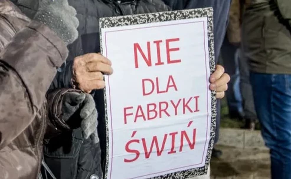 Jest stanowisko inwestora w sprawie budowy ogromnej chlewni świń w Siedleminie [AKTUALIZACJA, ZDJĘCIA]