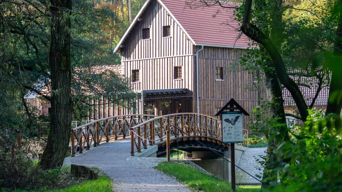Młyn nad Lutynią w Wilkowyi. Tu dojedziesz Aleją Światowego Dnia Roweru [ZDJĘCIA]