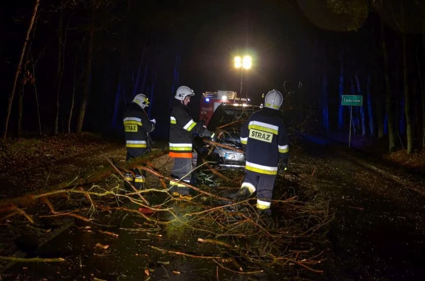 Silny wiatr. Drzewo runęło przed oplem. Worek big bag na linii energetycznej [ZDJĘCIA]
