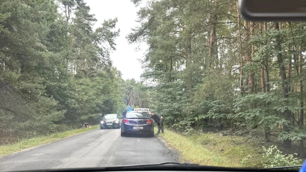 Dwie kolizje w gminie Jarocin w przeciągu dwóch godzin