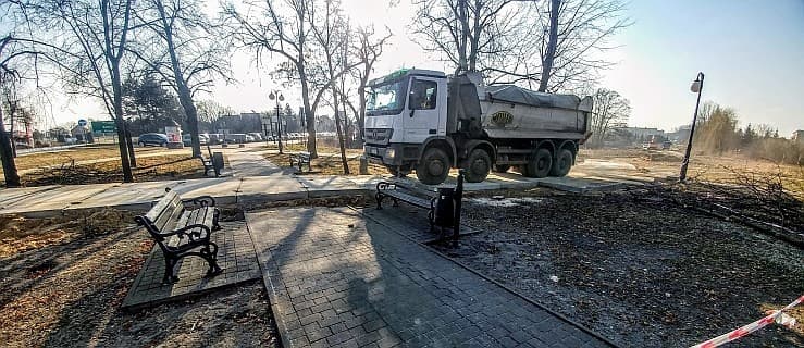 W parku Gorzeńskiego trwa wycinka. "Starodrzew pozostał nienaruszony"
