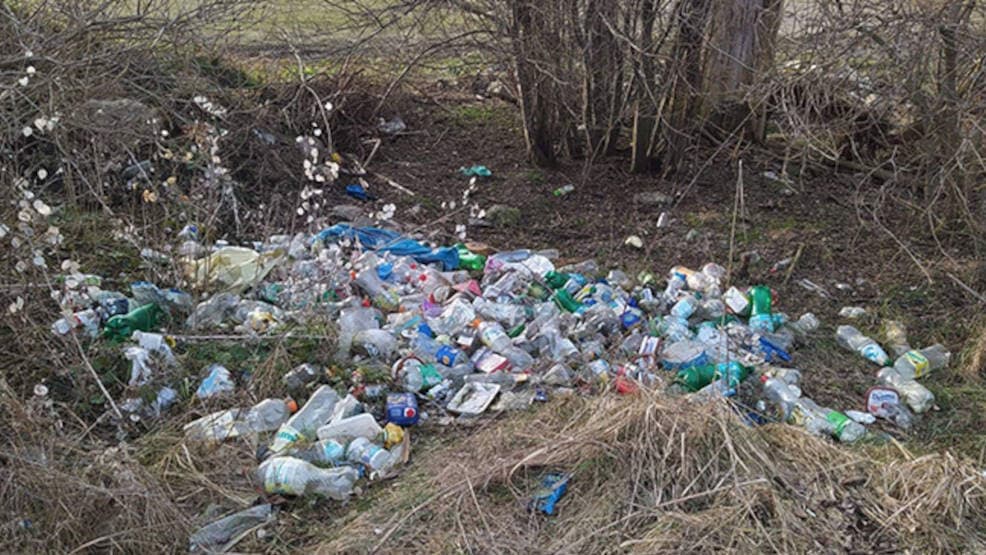Jarocin. Uczniowie szkoły w Cielczy wzięli udział w niezwykłym projekcie