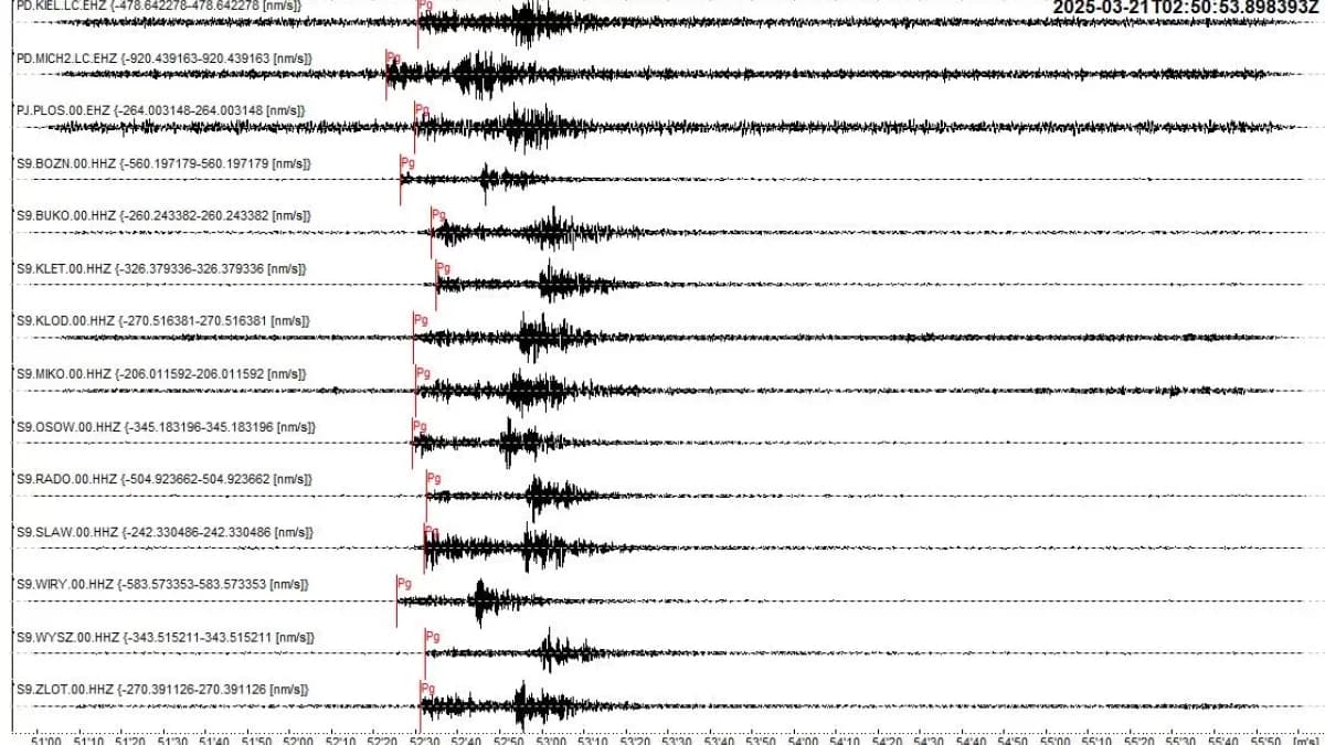 Trzęsienie ziemi pod Jarocinem. Czy grożą nam zjawiska wtórne? Mamy stanowisko Państwowego Instytutu Geologicznego