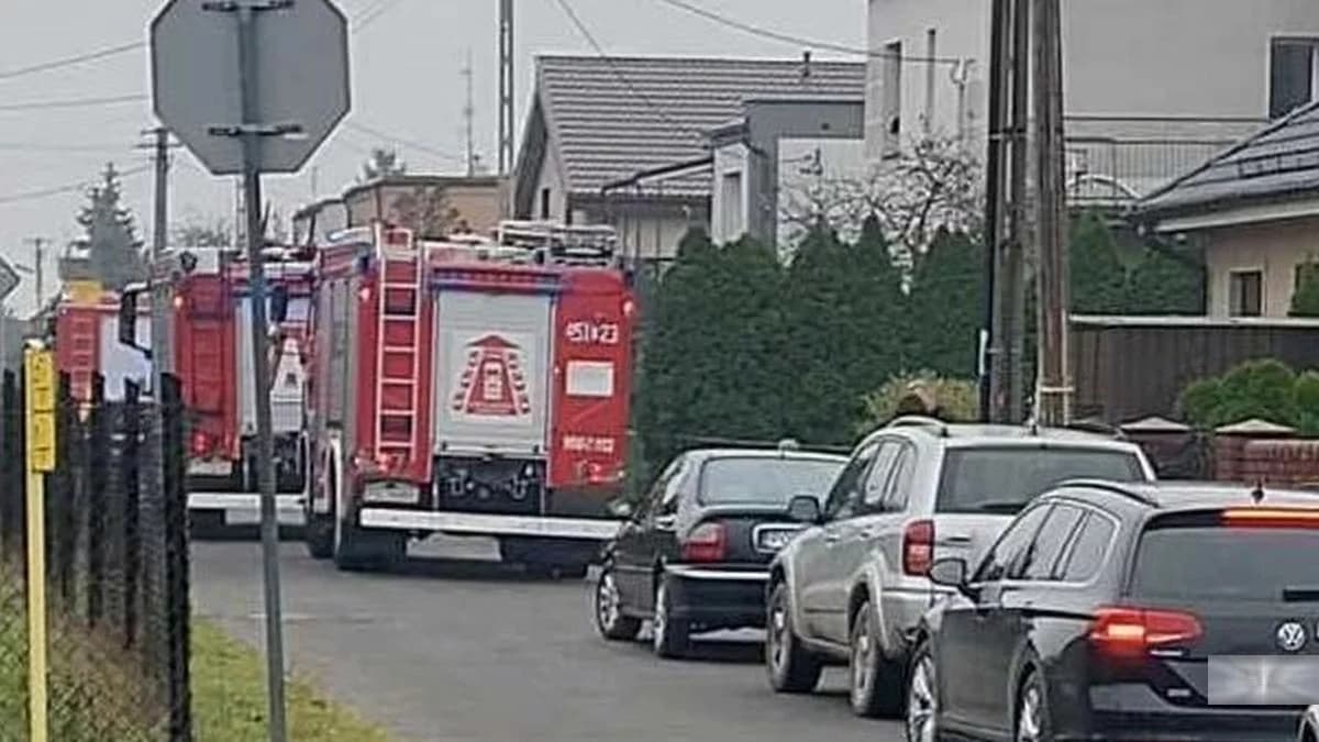 Strażacy interweniowali w Witaszycach. Co się stało?