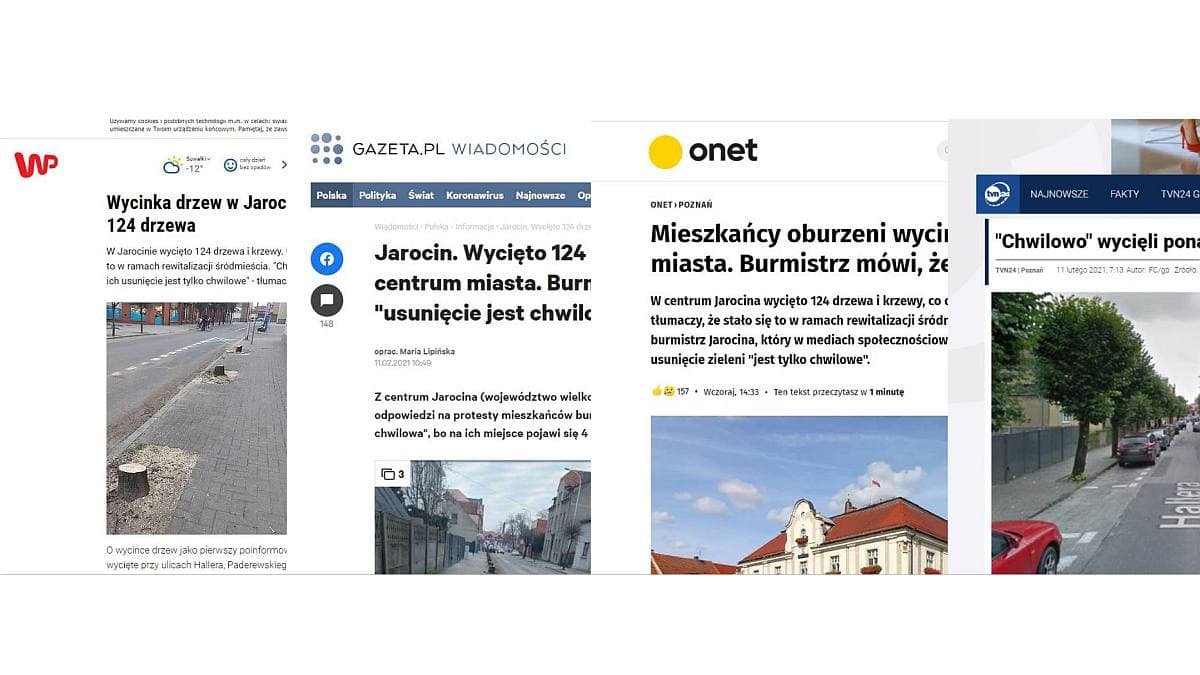 Wycięte drzewa w Jarocinie na ustach całej Polski. O sprawie mówią największe media w kraju