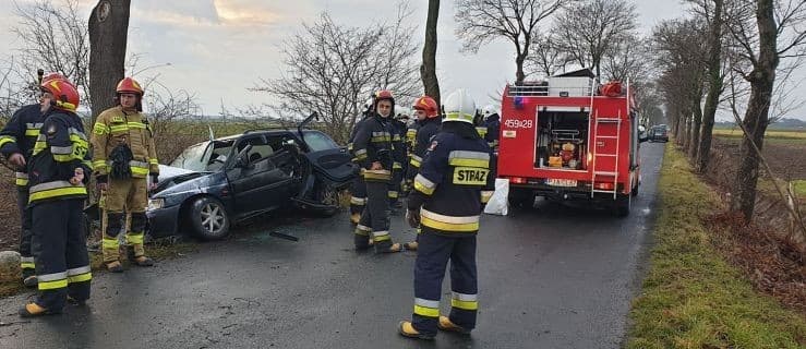 Samochód uderzył w drzewo. Jedna osoba poszkodowana [ZDJĘCIA]
