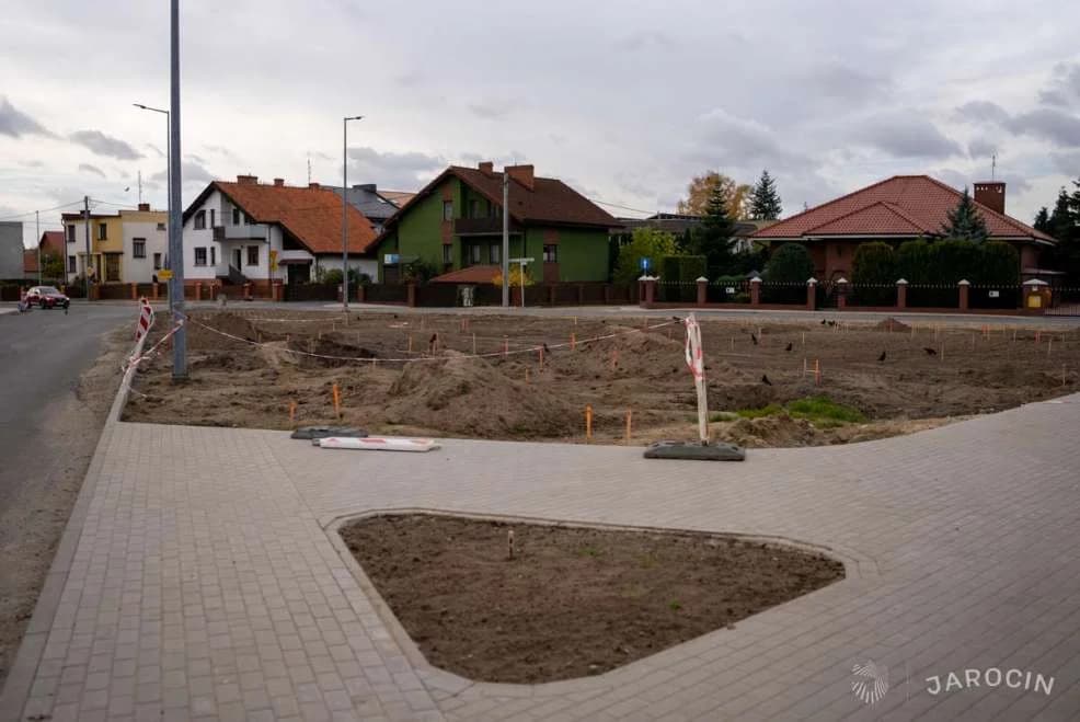 Drzewa, krzewy i byliny sadzone są przy nowych i przebudowanych drogach w Jarocinie [ZDJĘCIA]