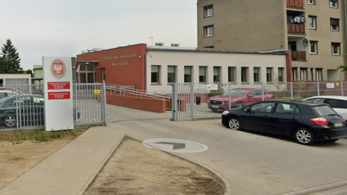Jest praca w jarocińskiej weterynarii. Podano, ile można zarobić