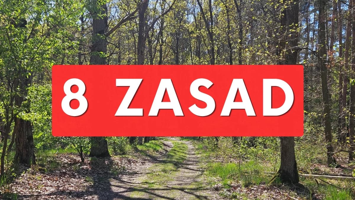 Wybierasz się do lasu? 8 najważniejszych zasad, które powinieneś znać