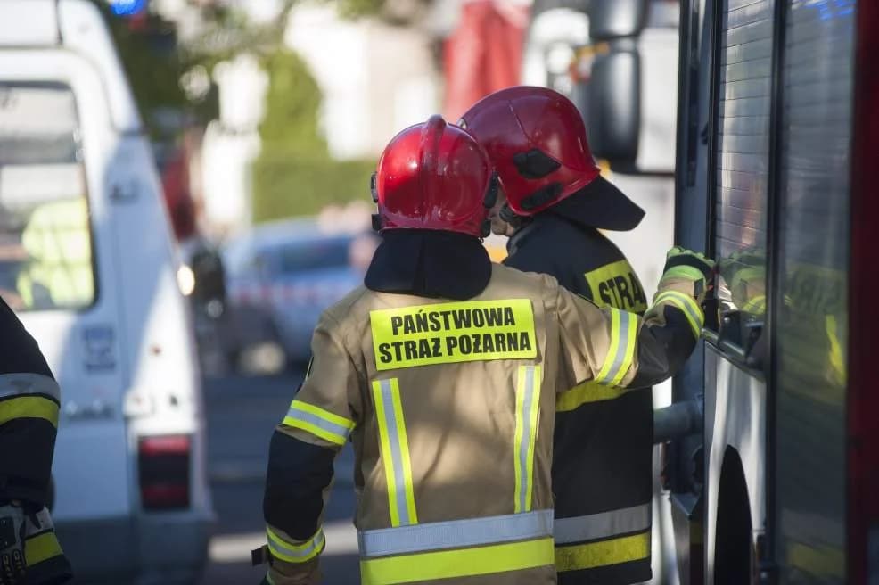 Schrony w Jarocinie. Gdzie w naszym mieście się znajdują?