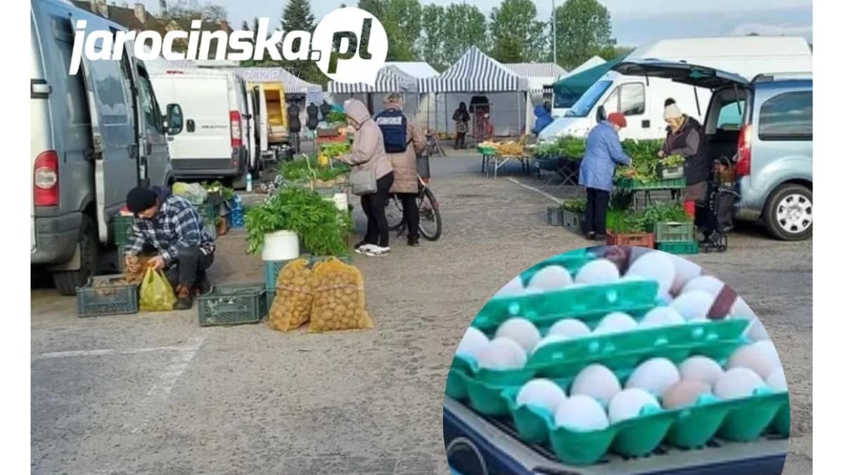 Ludzie pytają, dlaczego nie ma jajek na targowisku w Jarocinie. Lekarz weterynarii odpowiada