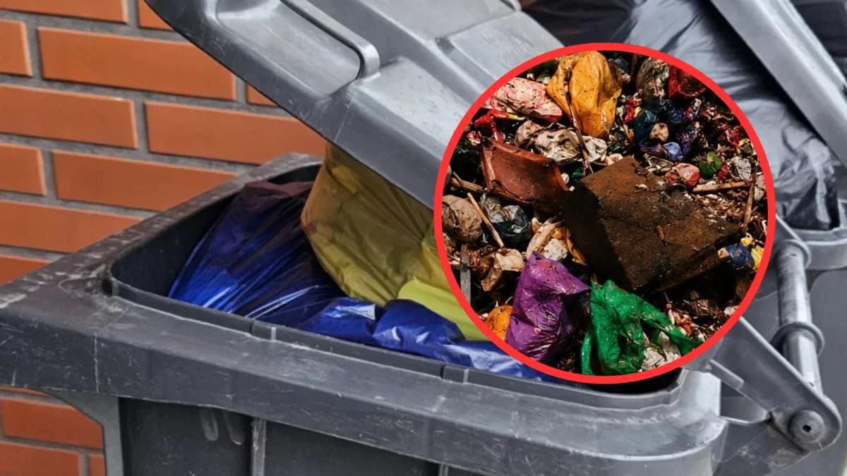 Skontrolują czarne pojemniki i naliczą wysokie opłaty za złą segregację