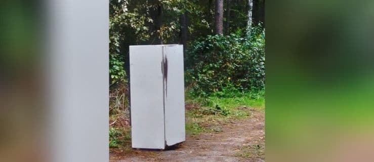 Zepsuła się, to wyrzucili. Nietypowe znalezisko w lesie