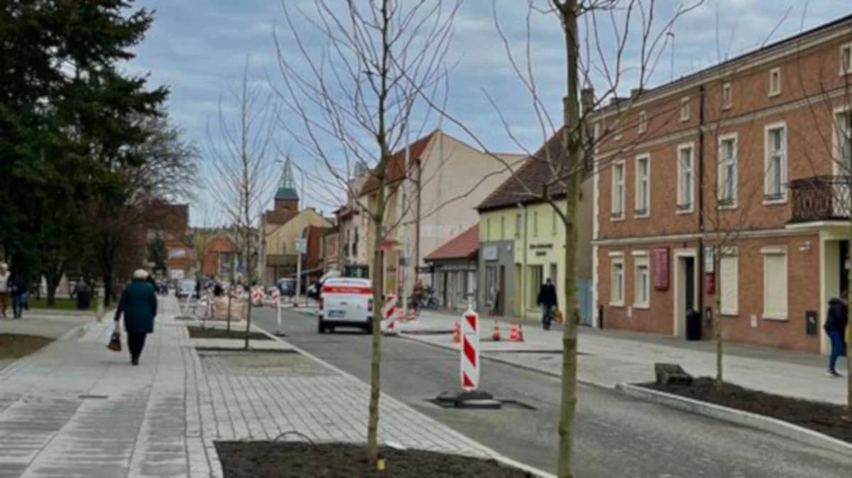 Zielony projekt gminy Jarocin. W założeniach mieszkańcy posadzą 10 tysięcy drzewek