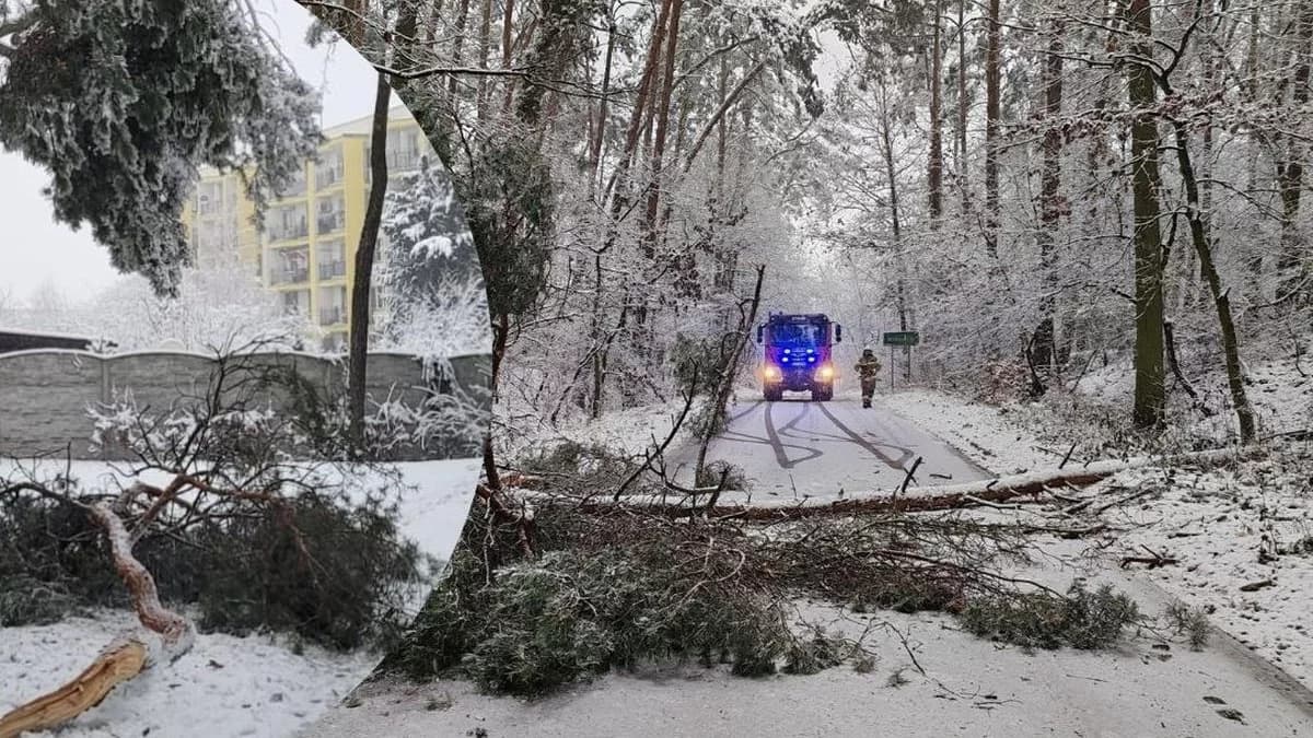 Po całodniowych opadach śniegu było szczególnie niebezpiecznie