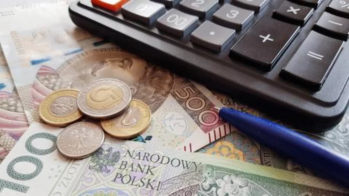 Wypełniając PIT za 2024 r. możemy przekazać 1,5% podatku wybranej Organizacji Pożytku Publicznego. Jak to zrobić? [SONDA]