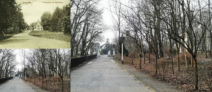 "Chwasty powinny zniknąć". Wytną 740 drzew w parku i posadzą 600.