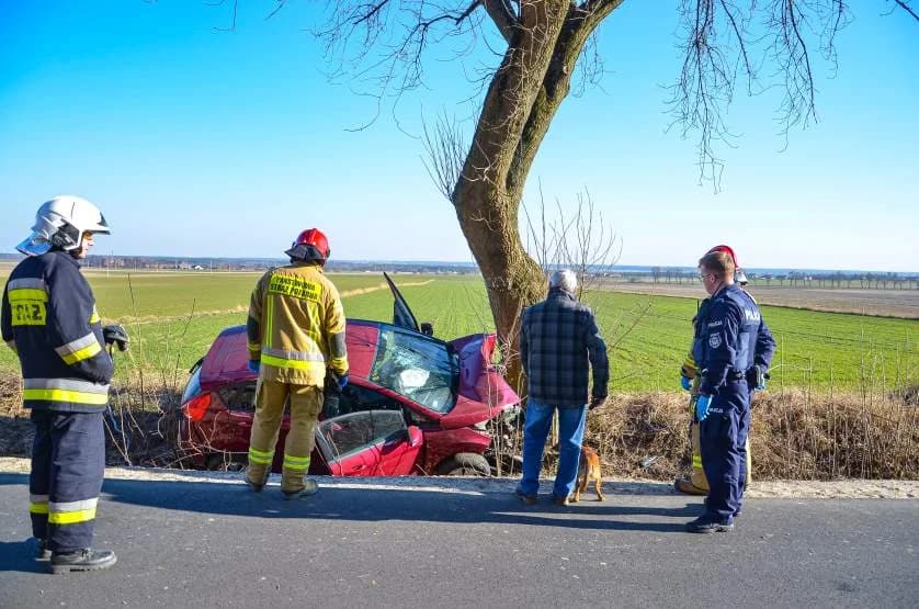 Zaskakujące ustalenia policji po wypadku na drodze z Żerkowa do Raszew [ZDJĘCIA]
