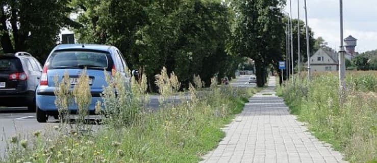 Utrzymanie ścieżki krytycznym okiem rowerzystki
