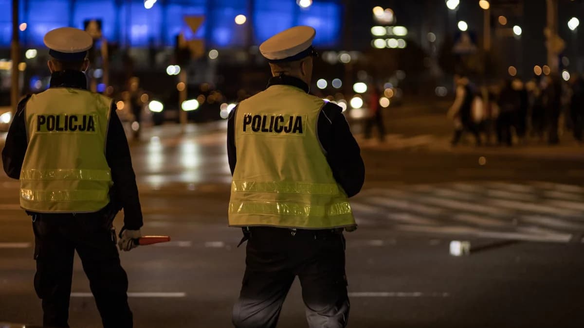 Tragiczny wypadek w regionie. Nie żyje mieszkanka powiatu jarocińskiego