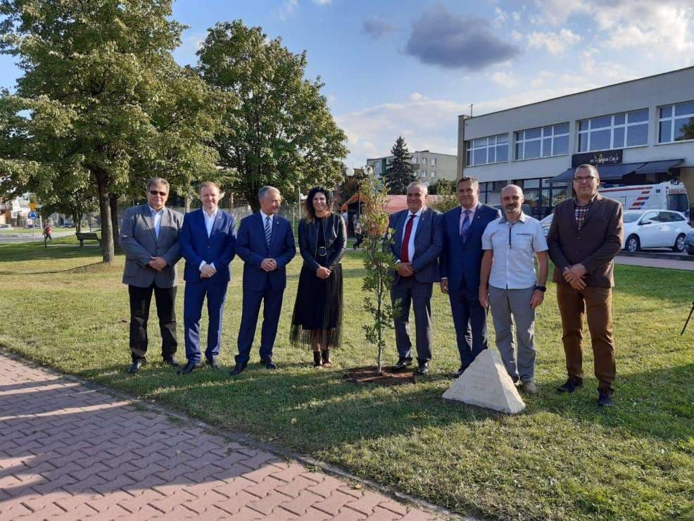 Posadzili dąb na znak współpracy Jarocina i Opoczna [ZDJĘCIA]