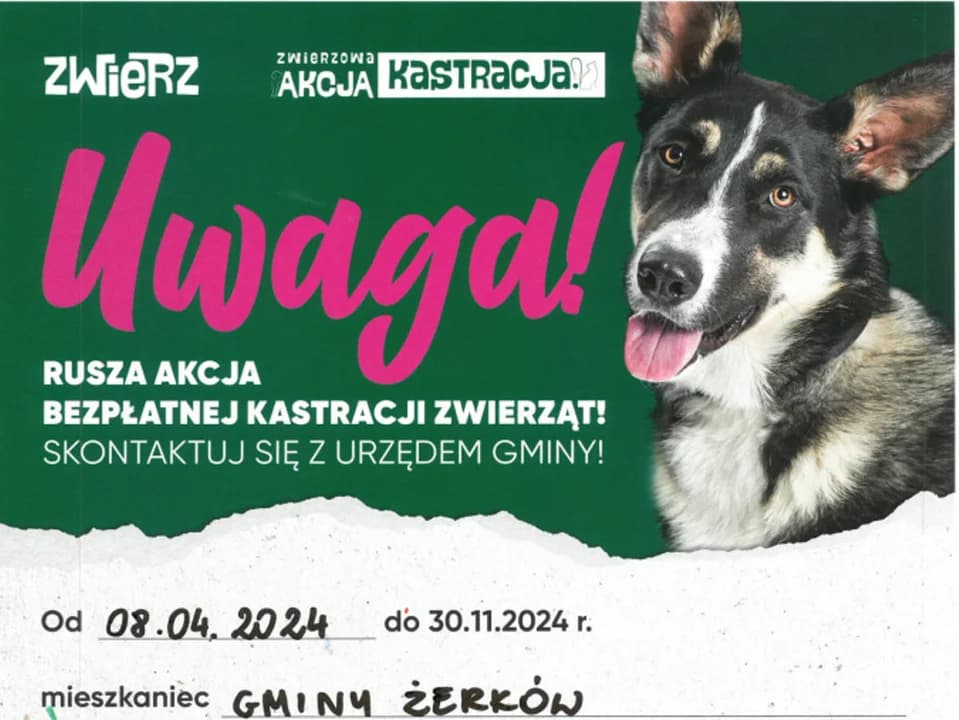 W Żerkowie można za darmo wykastrować psa lub kota. Powstanie również wybieg dla psów
