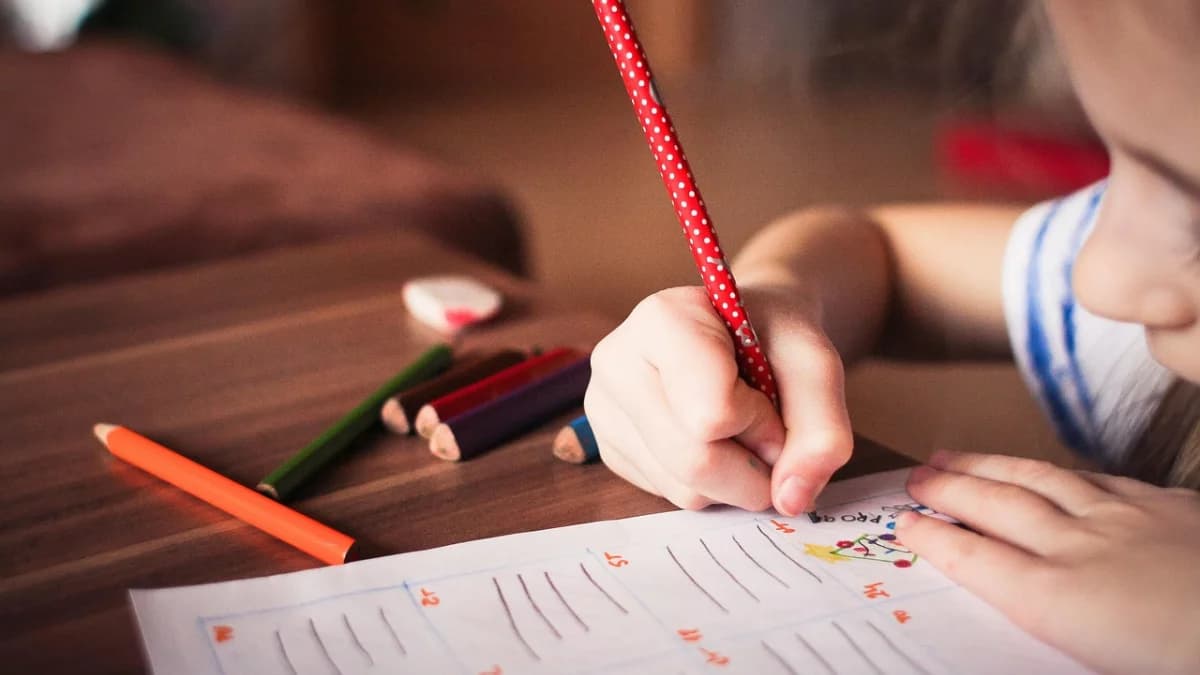 Rusza rekrutacja do szkół i oddziałów przedszkolnych w gminie Kotlin. Nie przegap tych terminów
