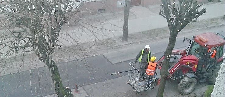 Wybrali dwóch "ogrodników" do miejskiej zieleni