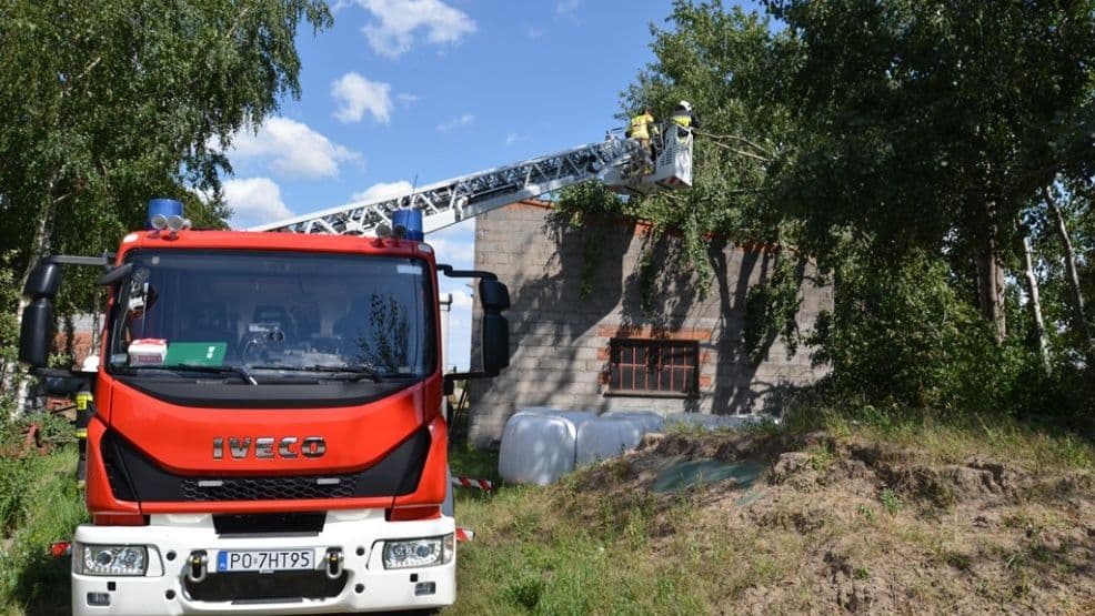 Dobieszczyzna. Drzewo spadło na budynek gospodarczy