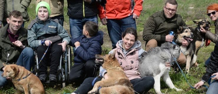 Zabrali psy na spacer i zrobili zdjęcia. Piękne zdjęcia [ZOBACZCIE]