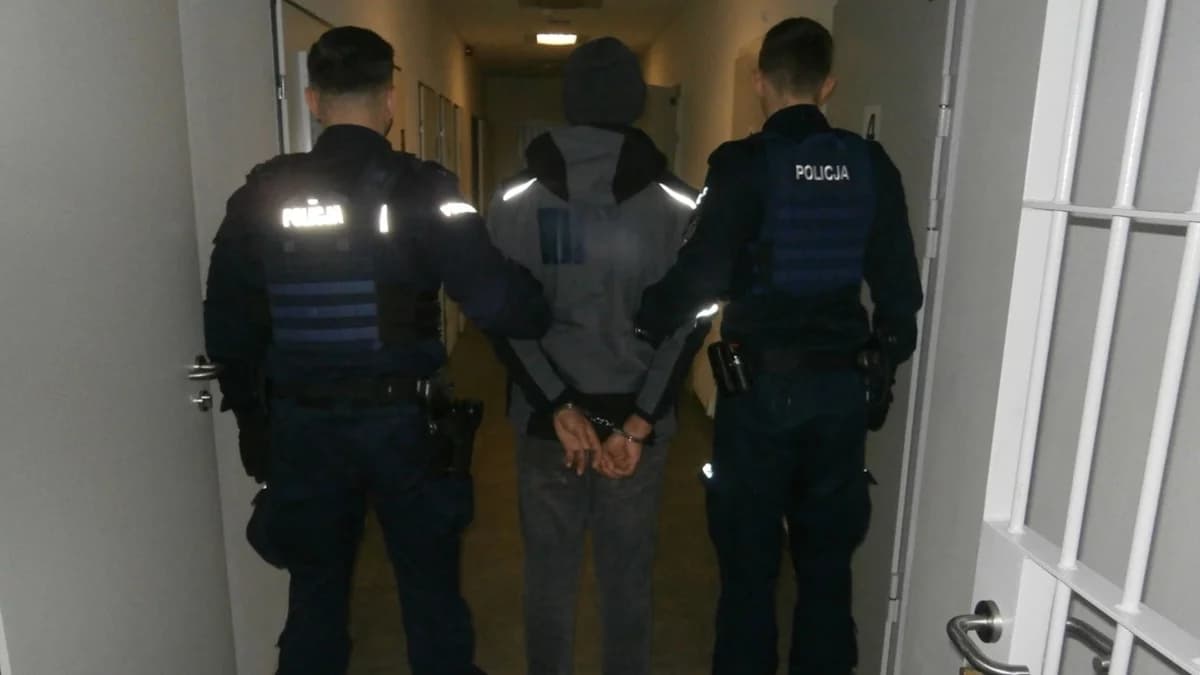 Pijany Gruzin z kryminalną przeszłością uciekał przed policją. Wszczęto procedurę deportacyjną